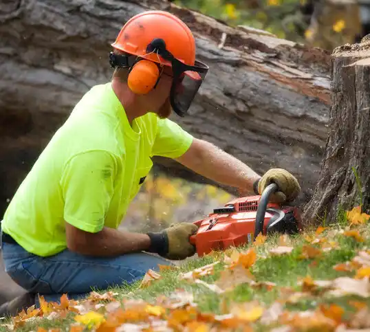 tree services Linganore